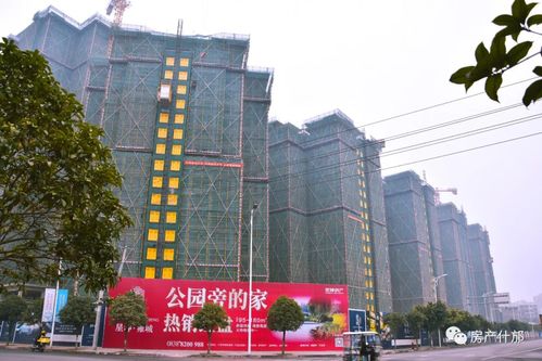 深耕什邡23年压轴巨献 星坤房产以“改善主场”诠释终极置业