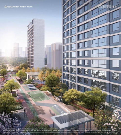 浐灞旭辉·国宸府 全明空间与智能住宅的典范，在售户型精彩呈现